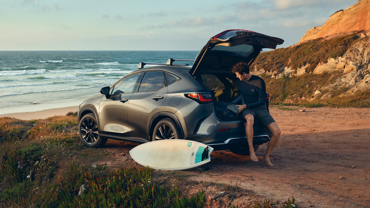 A Lexus NX parked on a coastline